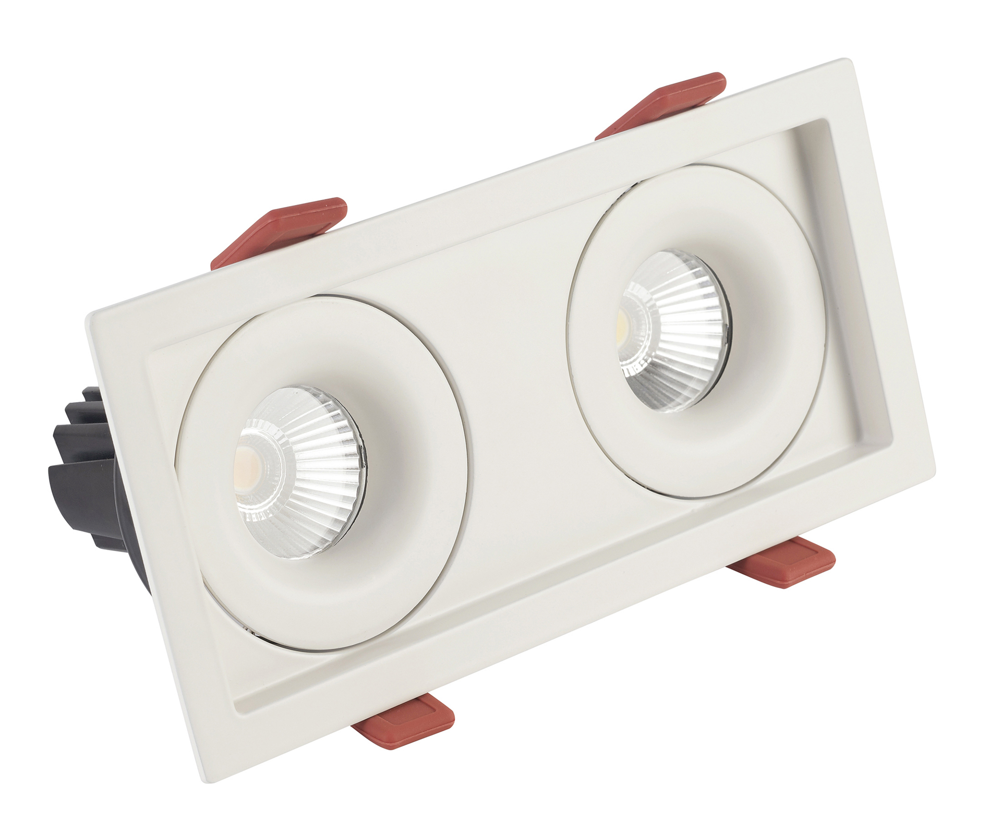 BUZZ 12-2 Recessed Ceiling Luminaires Dlux Multi-Head Recess Ceiling BUZZ 12-2 Recessed Ceiling Luminaires Dlux Multi-Head Recess Ceiling